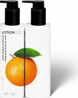 Kinetics Perfumed Lotion | Spiced Orange & Sandalwood