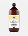 Davines Naturaltech Purifying Shampoo 250 ml