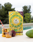 Terre d'Oc Mangue & Passion BIO Rooibos ledový čaj, 20 čajových sáčků