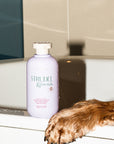 Strudel & friends Shampoo for dogs 300ml