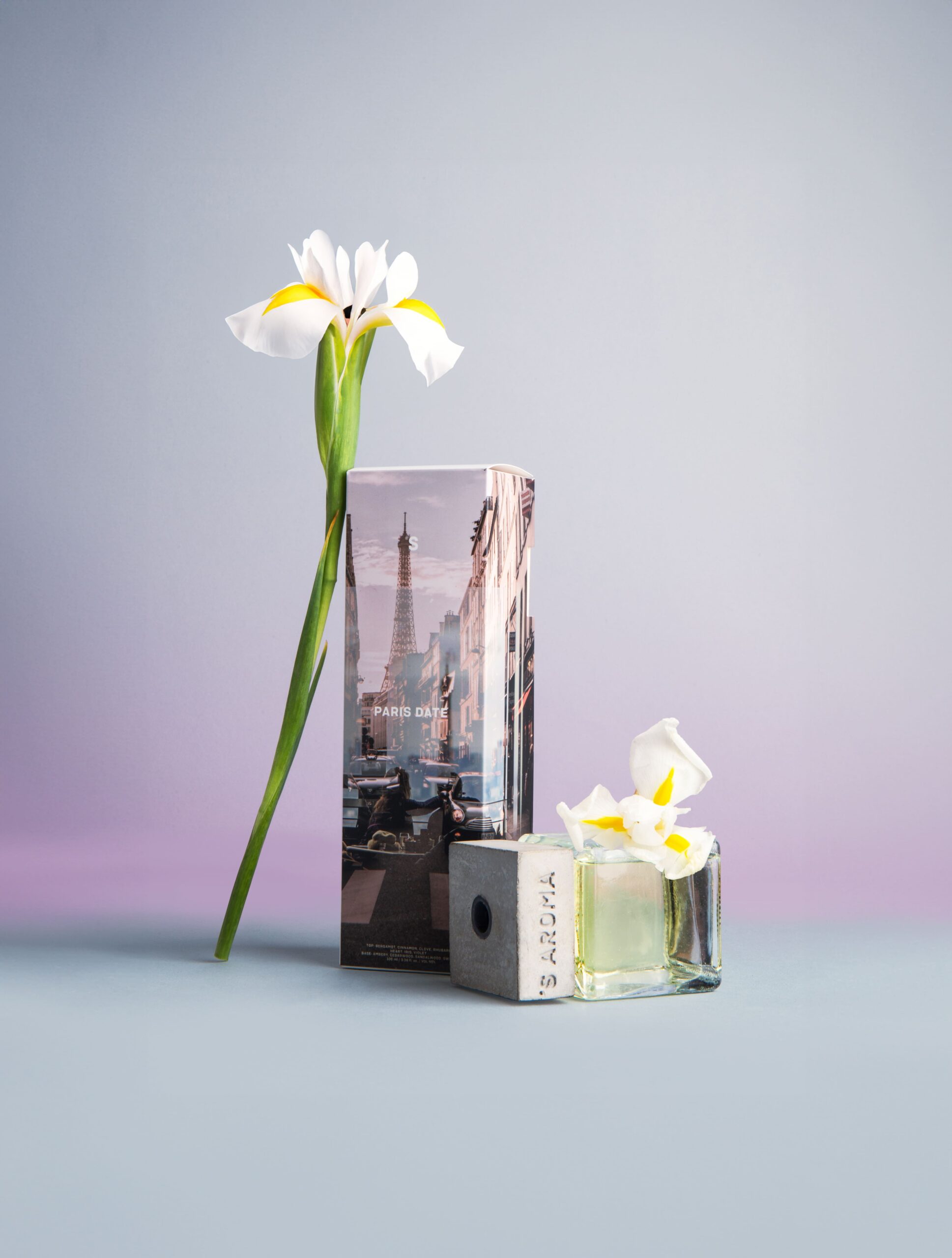 Sister's Aroma Diffuser Paris Date 110 ml