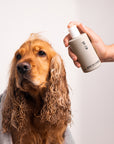 Sister's Aroma Smart Pet Shampoo 250 ml