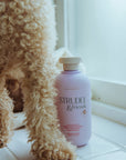 Strudel & friends Shampoo for dogs 300ml