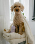 Strudel & friends Shampoo for dogs 300ml
