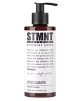 STMNT hydrate shampoo šampon pro hydrataci vlasu 300 ml