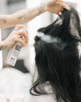 Authentic Beauty Concept Dry Shampoo 250 ml