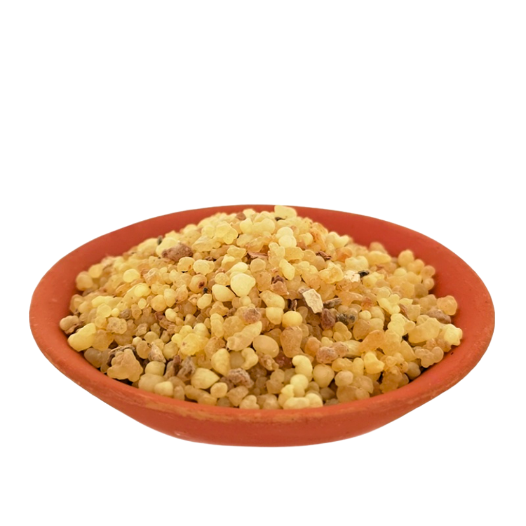 KADIDLO SÚDÁN