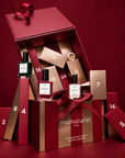 Manucurist Advent Calendar Time to Shine