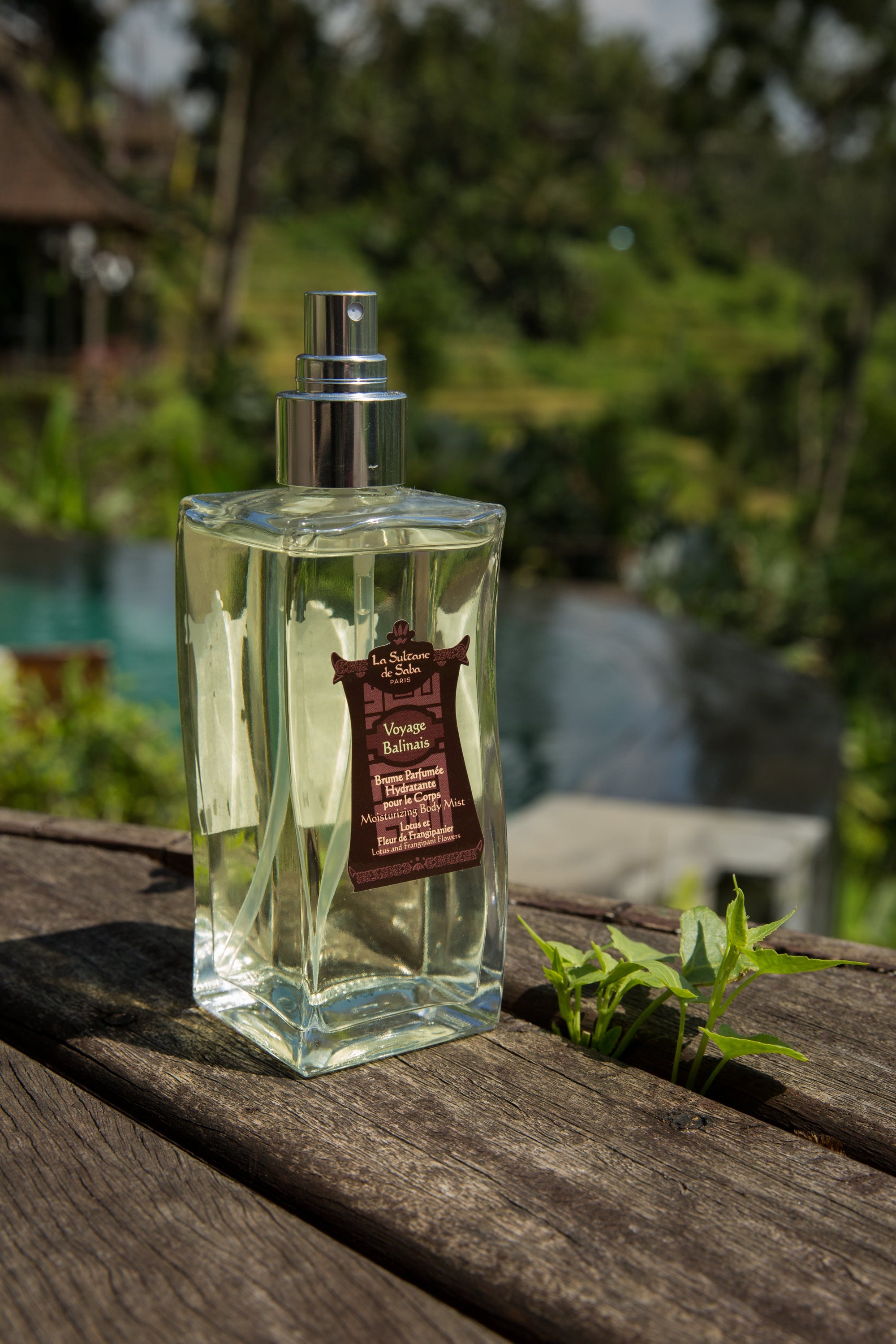 La Sultane De Saba Moisturizing Mist - Lotus and Frangipani Flower Fragrance 200 ml