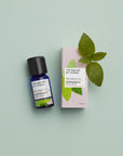 Máta peprná esenciální olej - Peppermint - 12 ml