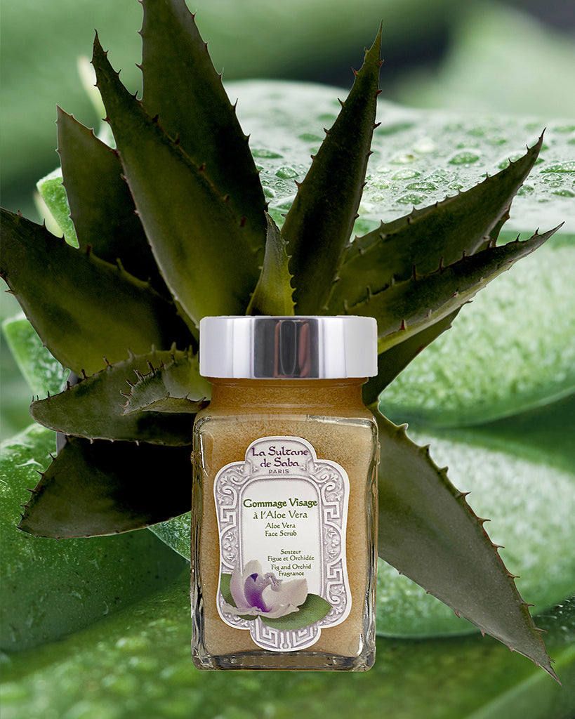 La Sultane de Saba Aloe Vera Face Scrub - Fig and Orchid Fragrance 100 ml