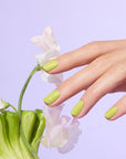 Green lak Lime