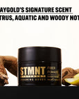 STMNT Fiber Pomade vláknitá pomáda na vlasy 30 ml